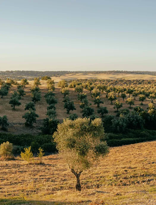paisagem paisagem